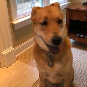 Meet your Posher, Mary